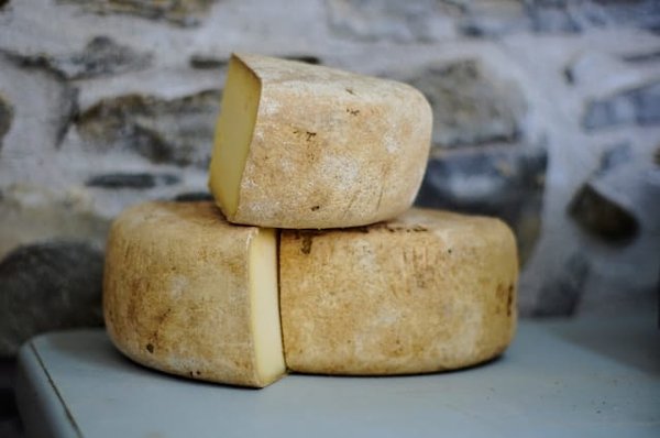 Les fromages végétaux : une alternative saine et savoureuse
